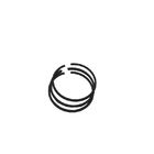 Поршневые кольца двигателя ДЖТП на кольцо поршеня температуры тележки 4ДР1 &amp; поршень 30317-11011